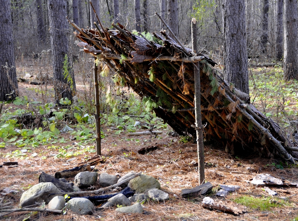 Bushcraft, l’art de vivre dans les bois